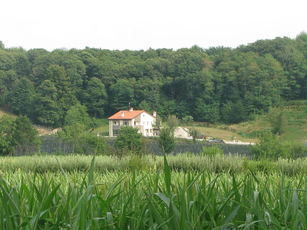 Agriturismo Casamela Paderno del Grappa ภายนอก รูปภาพ