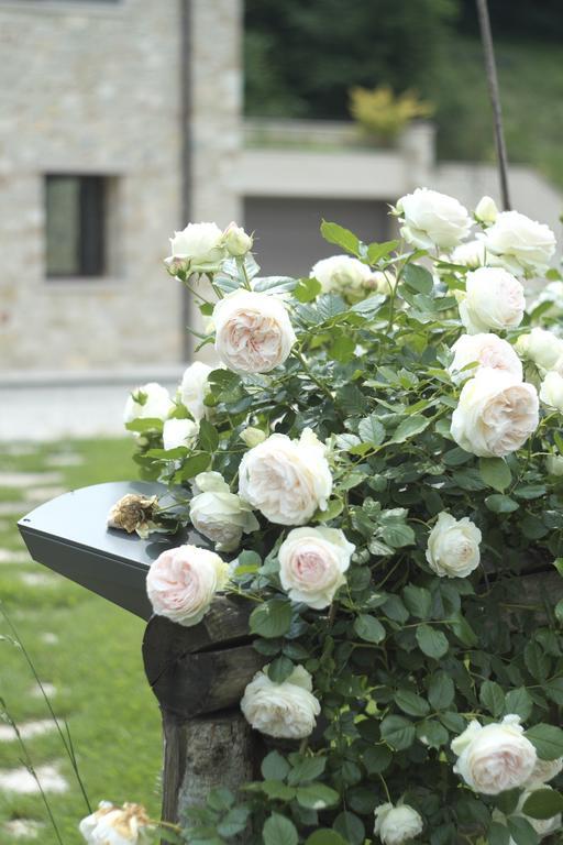Agriturismo Casamela Paderno del Grappa ภายนอก รูปภาพ