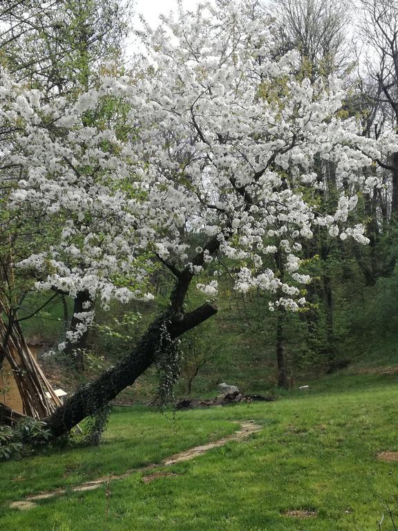 Agriturismo Casamela Paderno del Grappa ภายนอก รูปภาพ